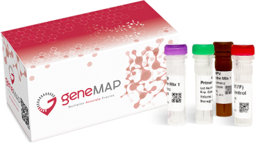 DiaQuim | geneMAP microbiologia molecular diaquim